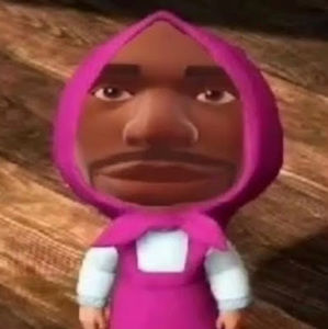 Meet your Posher, Peyton